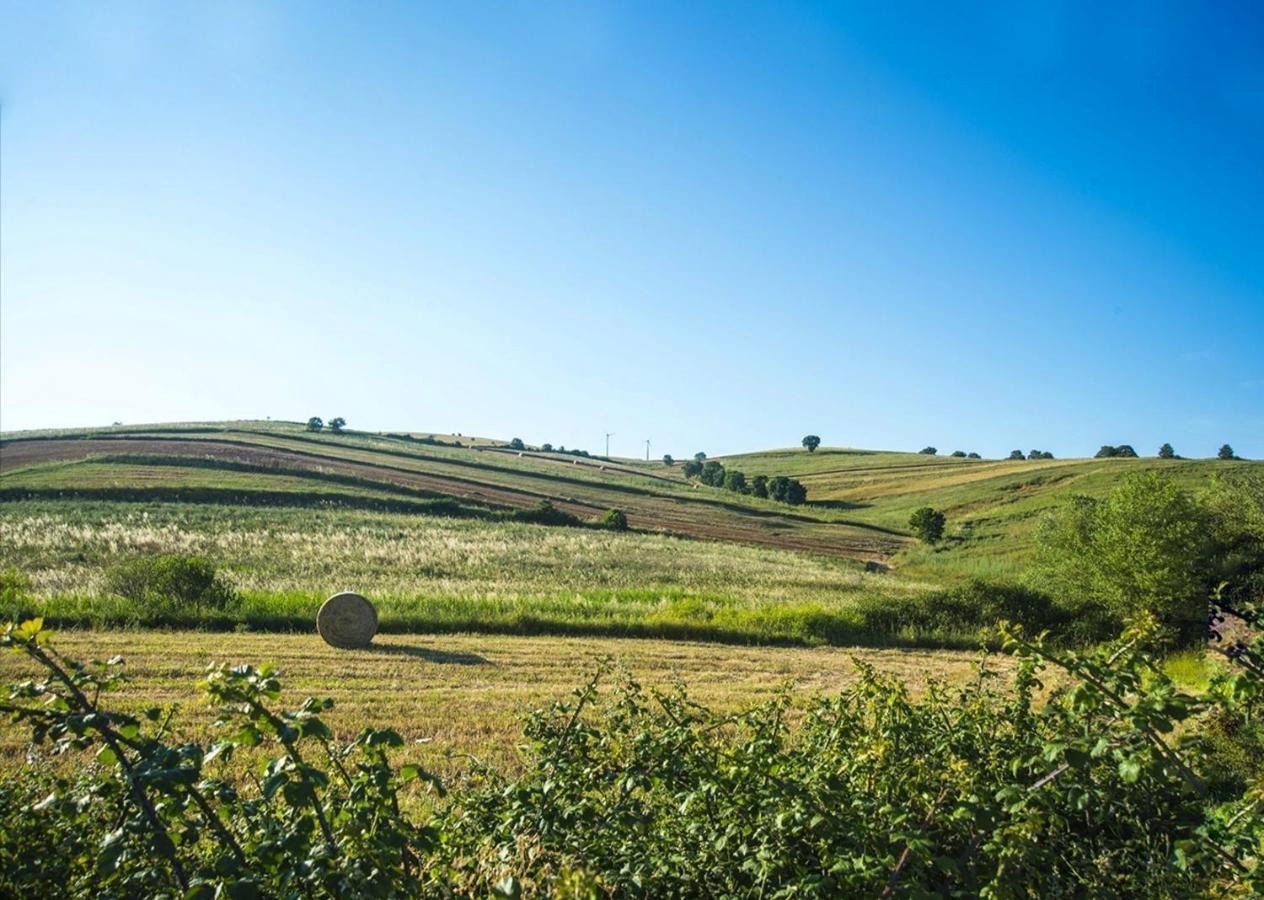 Le Pitture Casa Di Campagna Filiano Exteriér fotografie